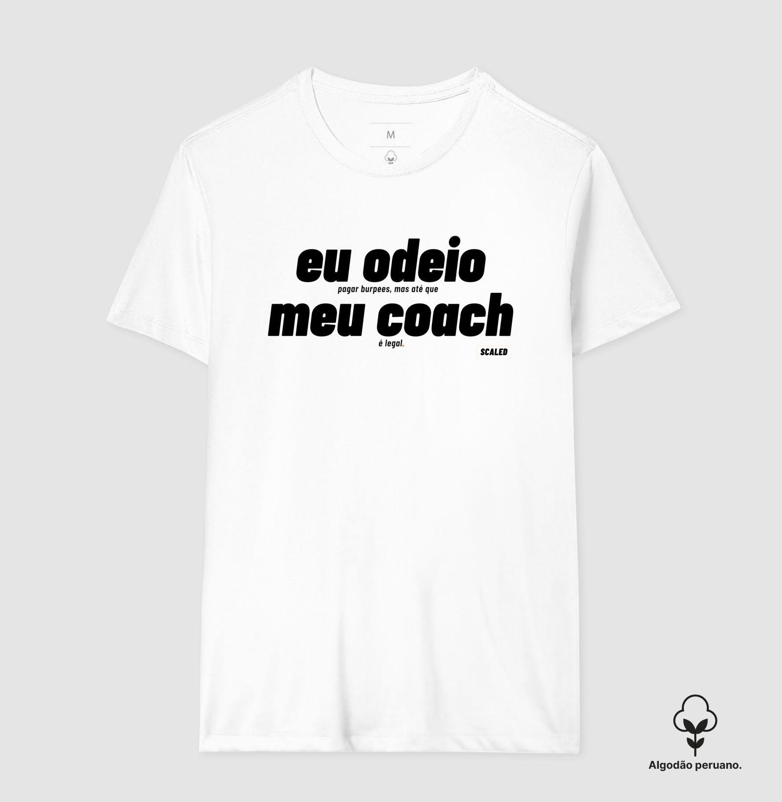 Eu odeio meu Coach - Premium